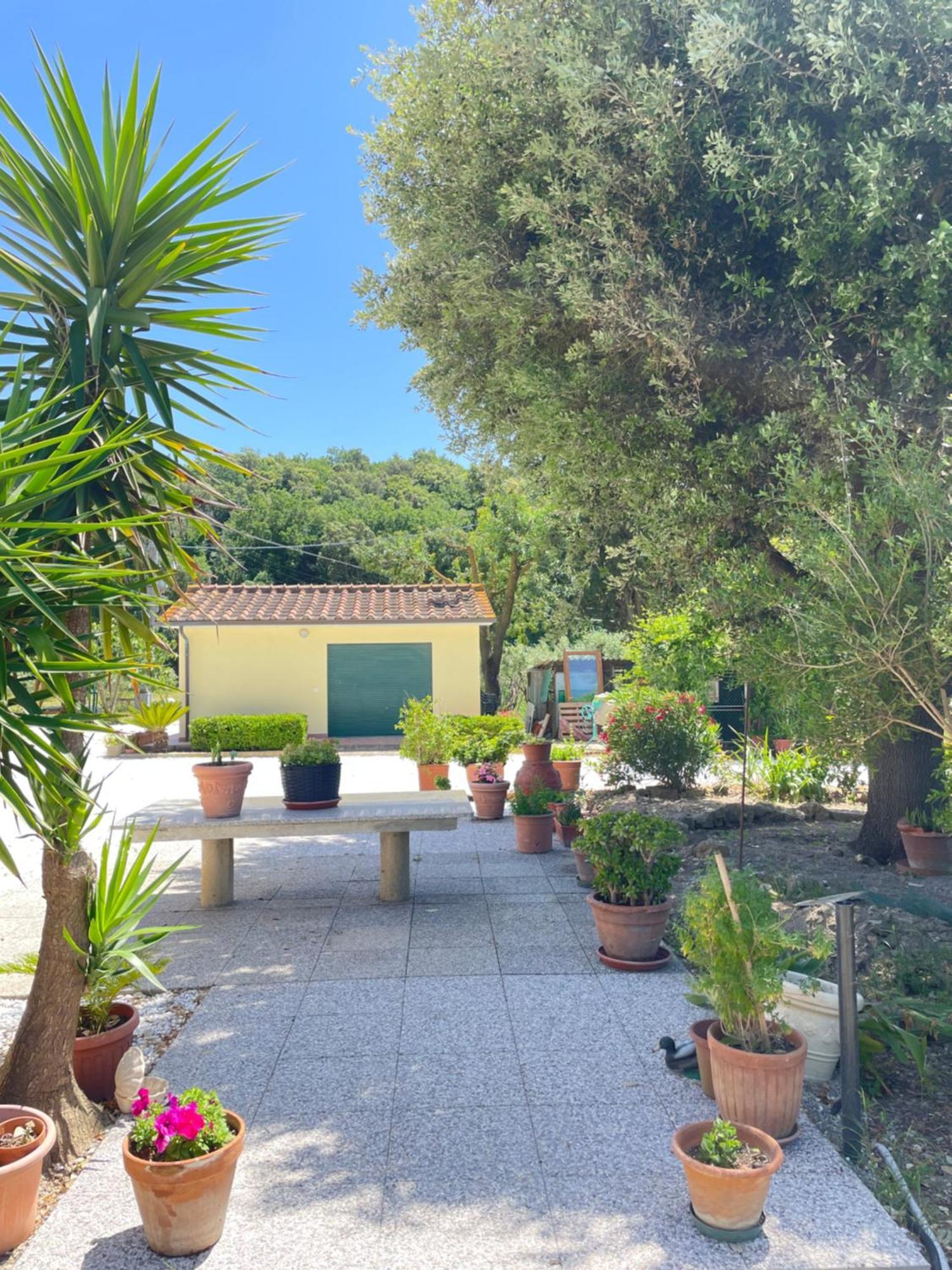 Il Leccio Agriturismo Fiorino Exterior photo