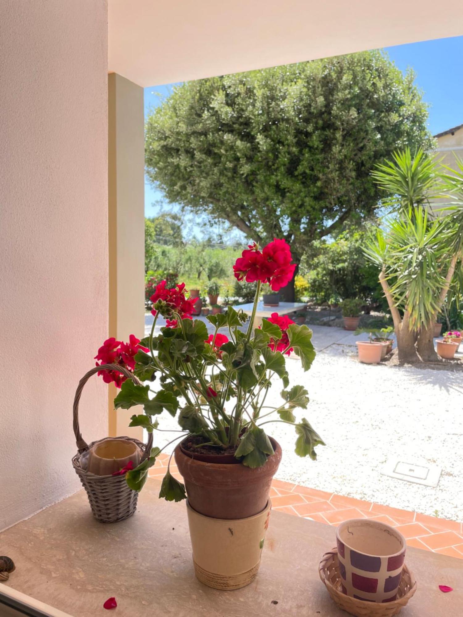 Il Leccio Agriturismo Fiorino Exterior photo