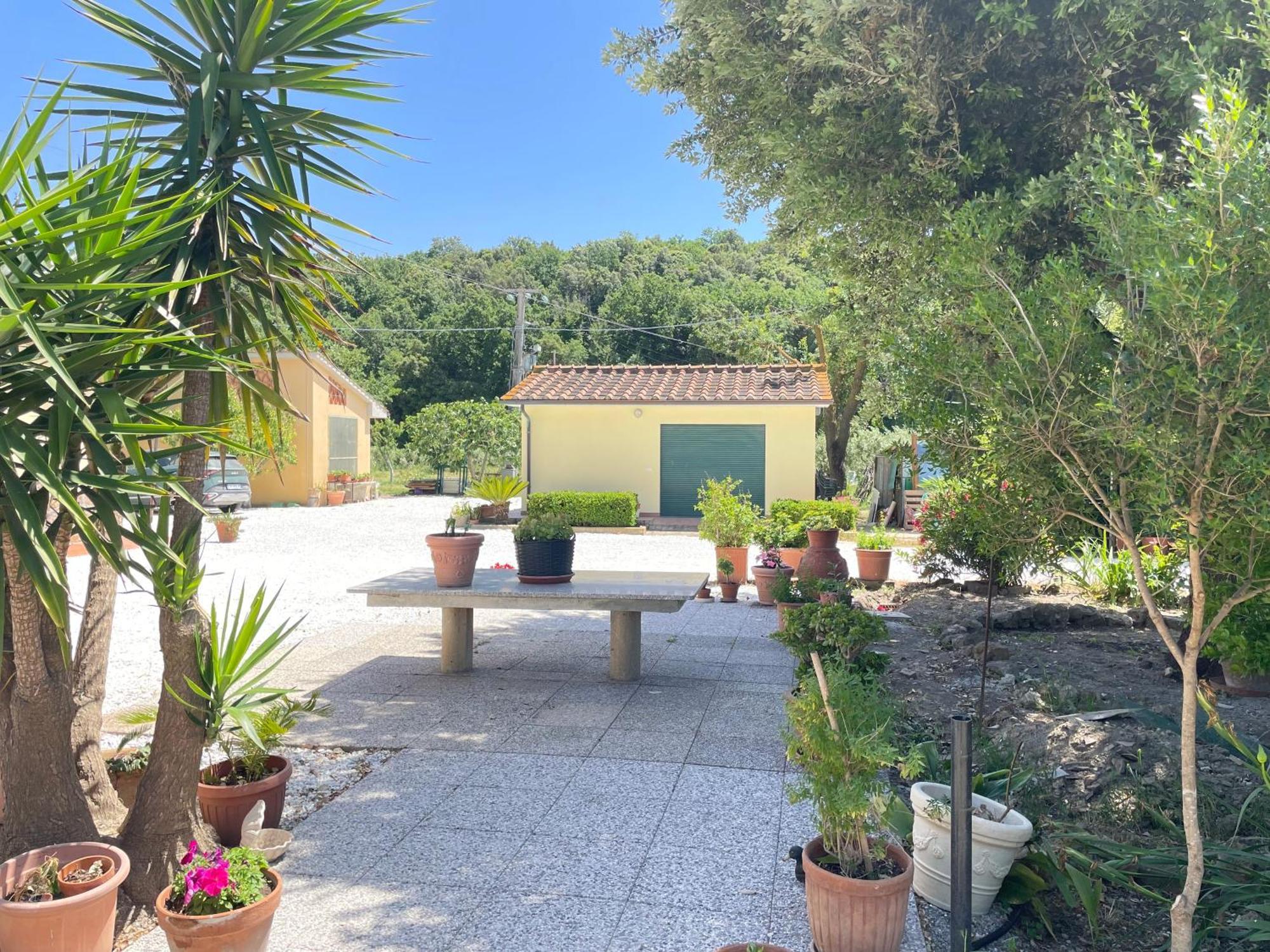 Il Leccio Agriturismo Fiorino Exterior photo