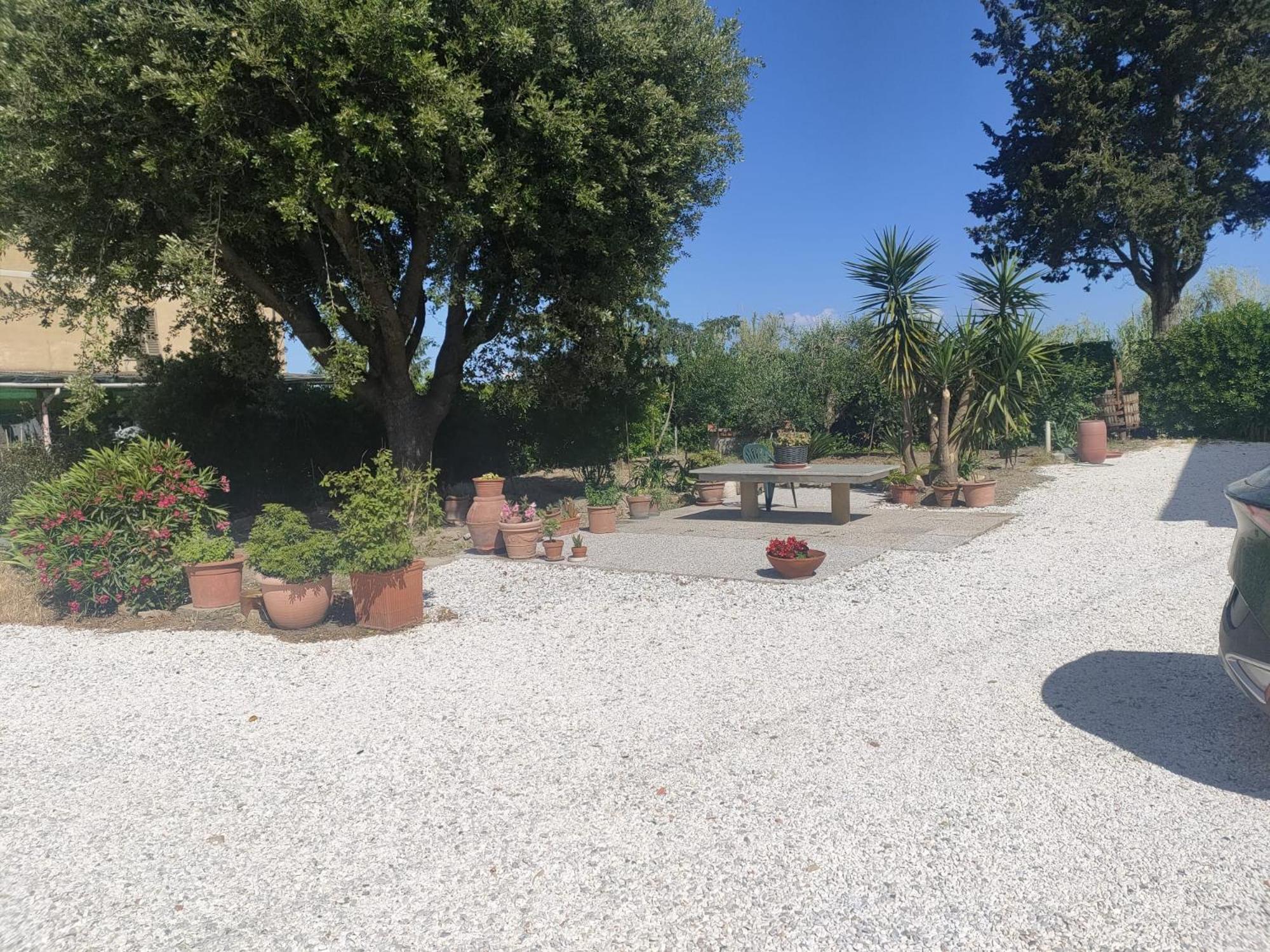 Il Leccio Agriturismo Fiorino Exterior photo